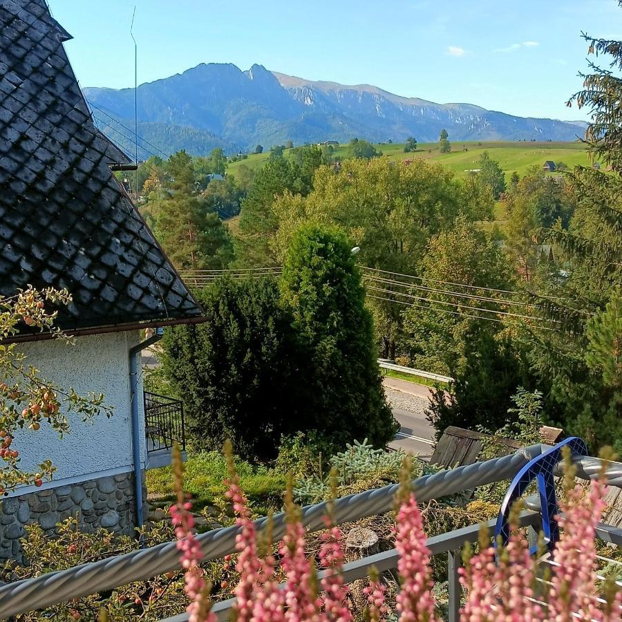 Apartamento Lodowy Dom Zakopane Exterior foto