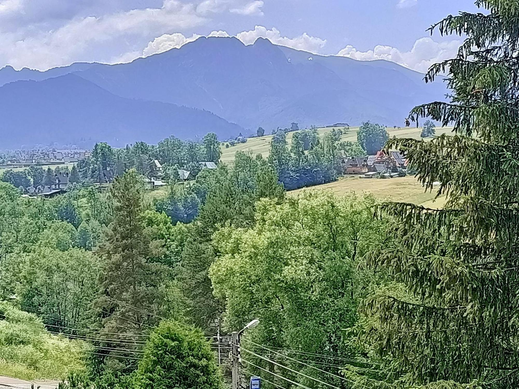 Apartamento Lodowy Dom Zakopane Exterior foto